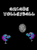 Arcade Volleyball