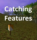 Catching Features