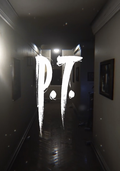 P.T.