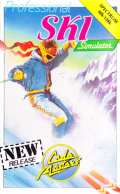 Professional Ski Simulator