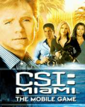 CSI: Miami