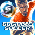 Sociable Soccer