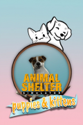 Animal Shelter - Puppies & Kittens