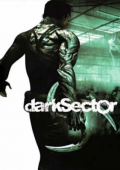 Dark Sector