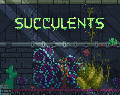 Succulents