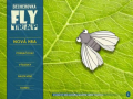 Fly Trap