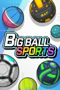 BIG BALL SPORTS