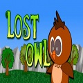 Lost Owl