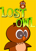 Lost Owl