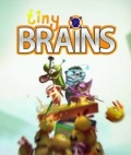 Tiny Brains