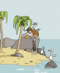 Bermuda? Nein Danke!