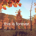 This Is Forever