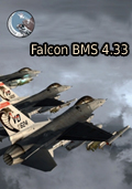 Falcon BMS 4