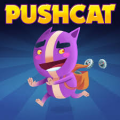 Pushcat