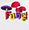 Fungi