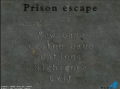Prison Escape