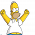 Homer91