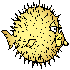 derhaa