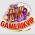 gamerikviptoday