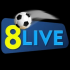8livezzcom