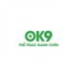 ok9393com