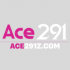 ace291zcom