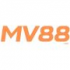mlmv88com
