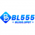 bl555fake