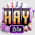 haywinvipcomde
