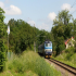 denixekk8