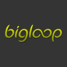 Big Loop Studios