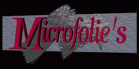 Microfolie's
