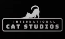 International Cat Studios