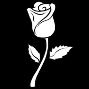 Rosa Special Studio