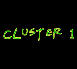 Cluster 1
