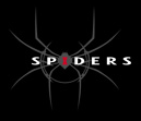Spiders Studio 