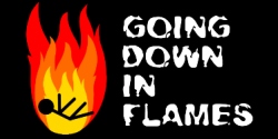 Going Down In Flames