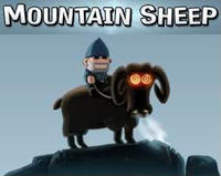 Mountain Sheep