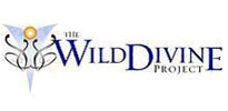 The Wild Divine Project