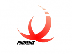 Profenix Studio