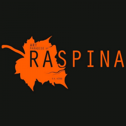 Raspina Studio