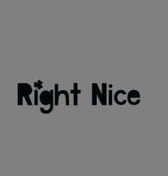 Right Nice Games