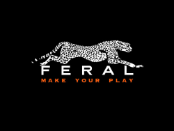 Feral Interactive