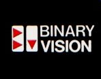 Binary Vision