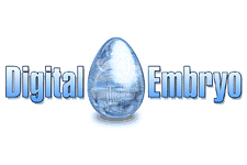 Digital Embryo