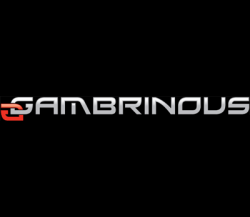 Gambrinous
