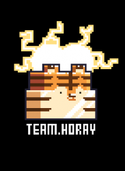TEAM HORAY