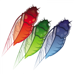 One Wing Cicada