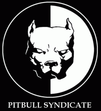 Pitbull Syndicate