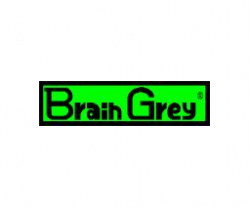 Brain Grey